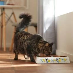 Disney Mickey Mouse Lemon Melamine Stainless Steel Double Dog & Cat Bowl -Happy Paw Shop 315299 PT3. AC SS1800 V1647283899