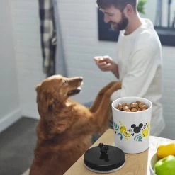 Disney Mickey Mouse Lemon Melamine Dog & Cat Treat Jar -Happy Paw Shop 315302 PT2. AC SS1800 V1647282011