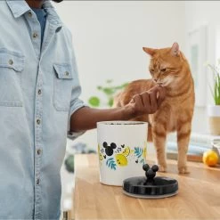 Disney Mickey Mouse Lemon Melamine Dog & Cat Treat Jar -Happy Paw Shop 315302 PT3. AC SS1800 V1647283698