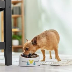 Disney Mickey Mouse Lemons Slanted Elevated Stainless Steel Dog & Cat Bowl, 1.5 Cup -Happy Paw Shop 315304 PT2. AC SS1800 V1647281905