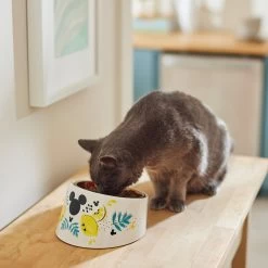 Disney Mickey Mouse Lemons Slanted Elevated Stainless Steel Dog & Cat Bowl, 1.5 Cup -Happy Paw Shop 315304 PT3. AC SS1800 V1647281598