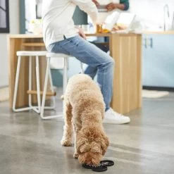 Disney Mickey Mouse Silicone Dog & Cat Lick Mat 7 Disney Mickey Mouse Silicone Dog & Cat Lick Mat -Happy Paw Shop 315337 PT2. AC SS1800 V1647282821