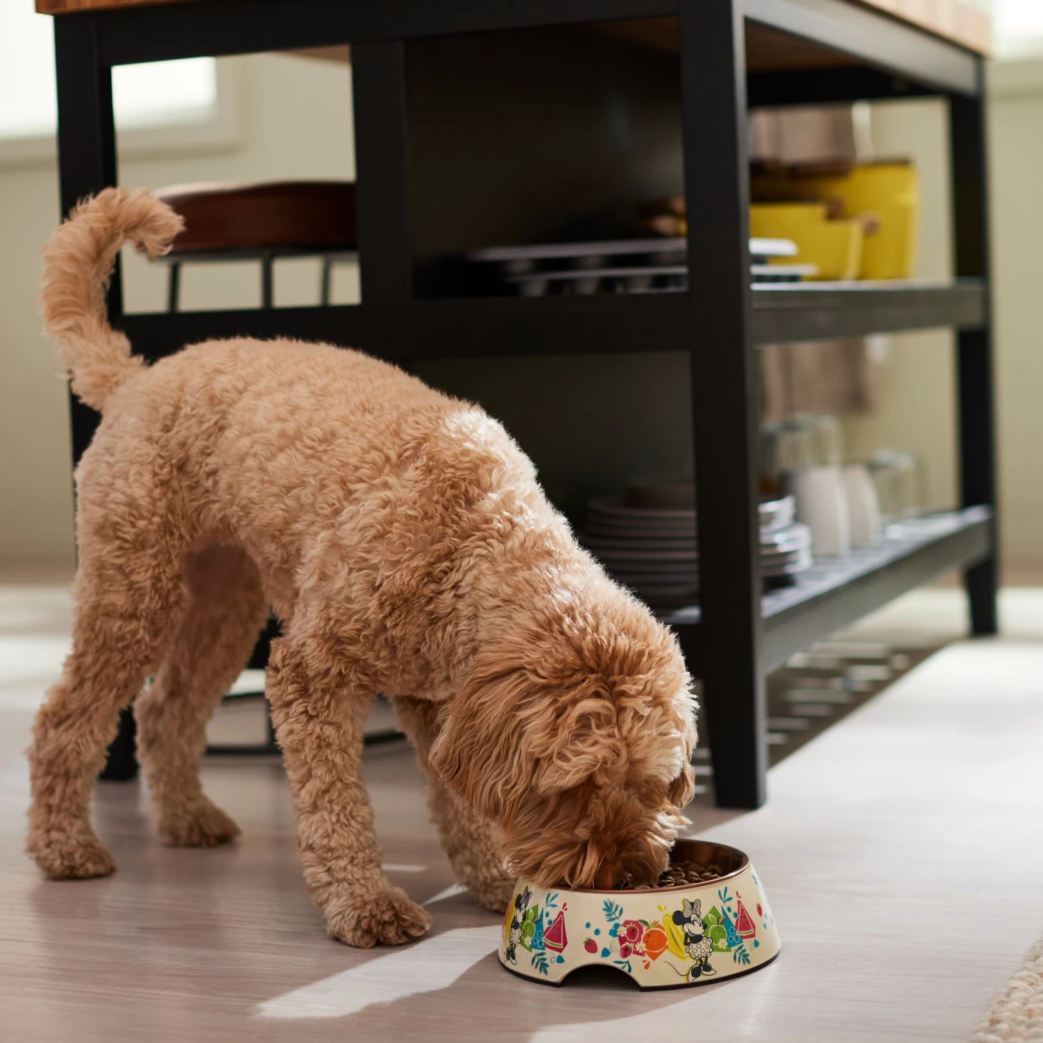 Disney Minnie Mouse Summer Bamboo Melamine Stainless Steel Dog & Cat Bowl 3 Disney Minnie Mouse Summer Bamboo Melamine Stainless Steel Dog & Cat Bowl - Image 3