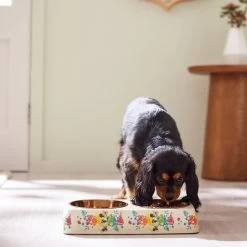 Disney Minnie Mouse Summer Bamboo Melamine Stainless Steel Double Dog & Cat Bowl -Happy Paw Shop 315343 PT2. AC SS1800 V1647283653