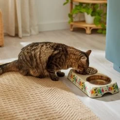 Disney Minnie Mouse Summer Bamboo Melamine Stainless Steel Double Dog & Cat Bowl -Happy Paw Shop 315343 PT3. AC SS1800 V1647282052