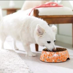 Disney Mickey Mouse Orange Bamboo Melamine Stainless Steel Dog & Cat Bowl -Happy Paw Shop 315346 PT2. AC SS1800 V1647283263
