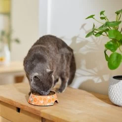 Disney Mickey Mouse Orange Bamboo Melamine Stainless Steel Dog & Cat Bowl -Happy Paw Shop 315346 PT3. AC SS1800 V1647281720