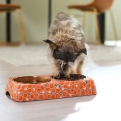 Disney Mickey Mouse Orange Bamboo Melamine Stainless Steel Double Dog & Cat Bowl -Happy Paw Shop 315350 PT2. AC SS1800 V1647281698