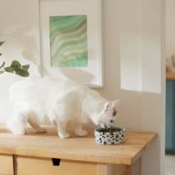 Disney Mickey Mouse Americana Non-Skid Ceramic Dog & Cat Bowl -Happy Paw Shop 315353 PT3. AC SS1800 V1647282583