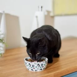 Disney Mickey Mouse Americana Non-Skid Ceramic Cat Bowl -Happy Paw Shop 315357 PT3. AC SS1800 V1647282308