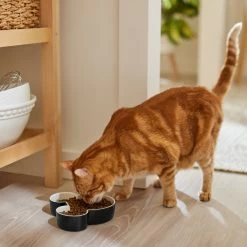 Disney Mickey Mouse Ceramic Dog & Cat Bowl -Happy Paw Shop 315360 PT3. AC SS1800 V1647283006