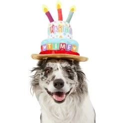 Disney Mickey Mouse Birthday Dog & Cat Hat 7 Disney Mickey Mouse Birthday Dog & Cat Hat -Happy Paw Shop 316077 PT2. AC SS1800 V1646176394