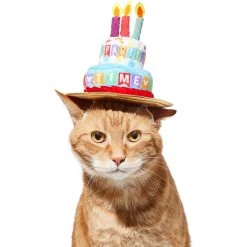 Disney Mickey Mouse Birthday Dog & Cat Hat 8 Disney Mickey Mouse Birthday Dog & Cat Hat -Happy Paw Shop 316077 PT3. AC SS1800 V1646181348