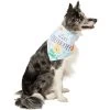 Disney Winnie The Pooh Birthday Dog & Cat Bandana