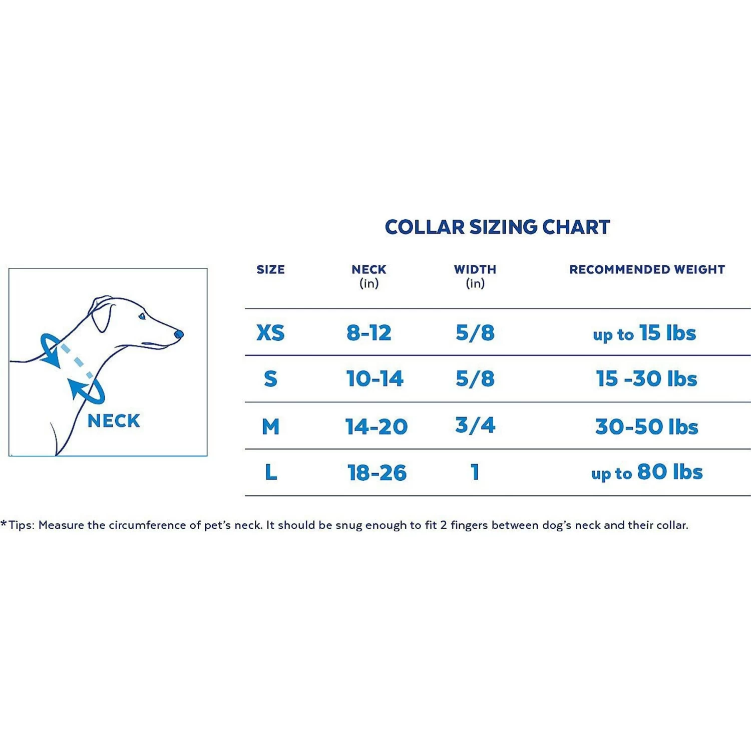 Disney Minnie Mouse Hawaiian Dog Collar & Disney Minnie Mouse Hawaiian Dog Leash 5 Disney Minnie Mouse Hawaiian Dog Collar & Disney Minnie Mouse Hawaiian Dog Leash - Image 5