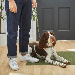 Disney Minnie Mouse Hawaiian Dog Collar & Disney Minnie Mouse Hawaiian Dog Leash 16 Disney Minnie Mouse Hawaiian Dog Collar & Disney Minnie Mouse Hawaiian Dog Leash -Happy Paw Shop 318928 PT7. AC SS1800 V1631139411