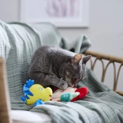 Disney Princess Ariel Plush Cat Toy With Catnip, 2 Count 5 Disney Princess Ariel Plush Cat Toy With Catnip, 2 Count -Happy Paw Shop 328712 PT3. AC SS1800 V1657656888