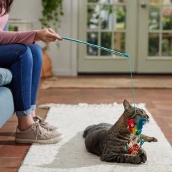 Disney Princess Moana Teaser Wand Cat Toy With Catnip -Happy Paw Shop 328727 PT3. AC SS1800 V1657718551