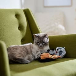 Disney Princess Pocahontas Plush Cat Toy With Catnip, 2 Count -Happy Paw Shop 328729 PT3. AC SS1800 V1657718551