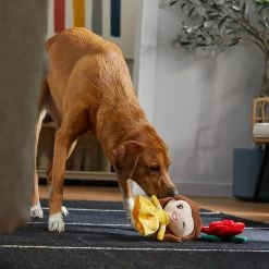 Disney Princess Belle Plush Squeaky Dog Toy -Happy Paw Shop 328755 PT3. AC SS1800 V1657718551