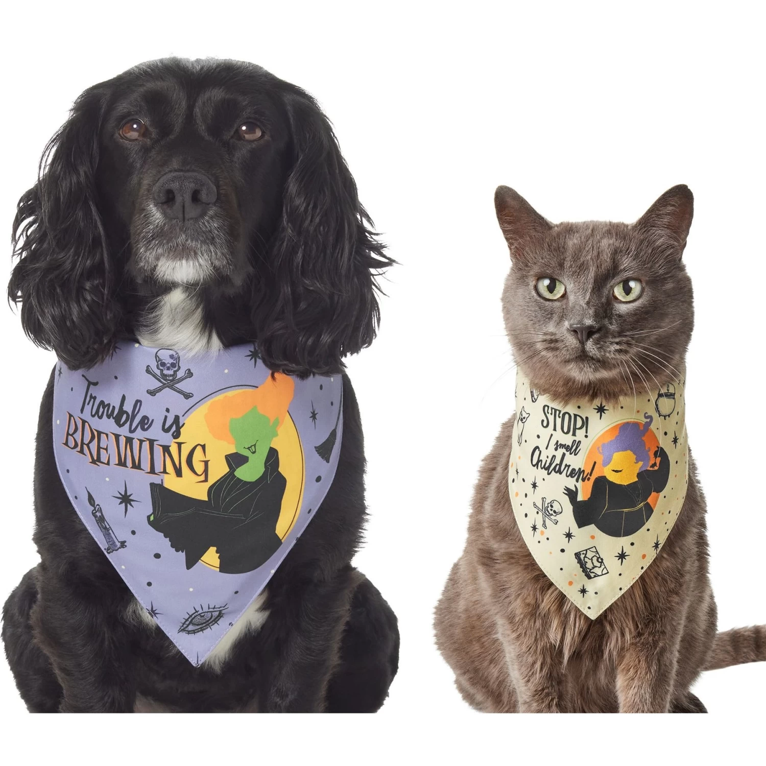 Disney Hocus Pocus Reversible Dog & Cat Bandana 1 Disney Hocus Pocus Reversible Dog & Cat Bandana