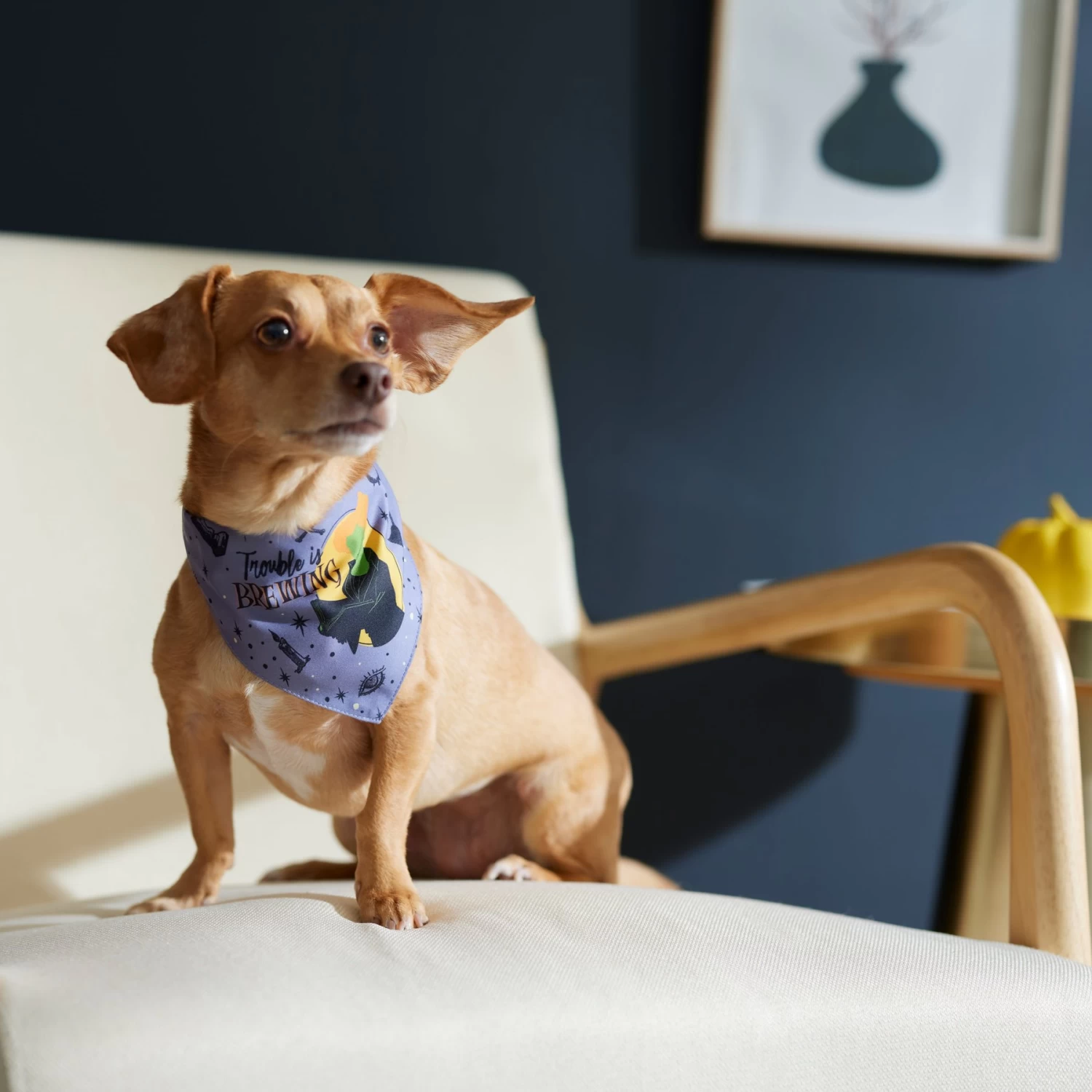 Disney Hocus Pocus Reversible Dog & Cat Bandana 6 Disney Hocus Pocus Reversible Dog & Cat Bandana - Image 6