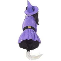 Disney Minnie Mouse Witch Dog & Cat Costume 8 Disney Minnie Mouse Witch Dog & Cat Costume -Happy Paw Shop 334755 PT3. AC SS1800 V1657656878