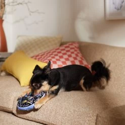 Disney Halloween Hocus Pocus Amuck Round Plush Squeaky Dog Toy -Happy Paw Shop 344457 PT3. AC SS1800 V1659124399