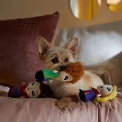 Disney Halloween Hocus Pocus Sanderson Sisters Plush Squeaky Dog Toy, 3 Count, Small/Medium 6 Disney Halloween Hocus Pocus Sanderson Sisters Plush Squeaky Dog Toy, 3 Count, Small/Medium -Happy Paw Shop 344461 PT3. AC SS1800 V1657657086