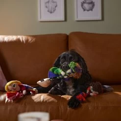 Disney Halloween Hocus Pocus Sanderson Sisters Plush With Rope Squeaky Dog Toy -Happy Paw Shop 344463 PT3. AC SS1800 V1657657086