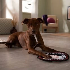 Disney Villains Cruella De Vil Flat Plush Squeaky Dog Toy 5 Disney Villains Cruella De Vil Flat Plush Squeaky Dog Toy -Happy Paw Shop 344469 PT3. AC SS1800 V1657657086