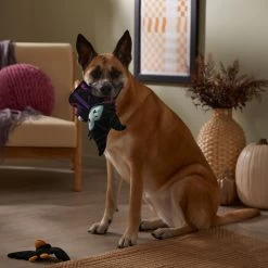 Disney Villains Maleficent & Raven Plush Squeaky Dog Toy, 2 Count -Happy Paw Shop 344477 PT3. AC SS1800 V1657657086