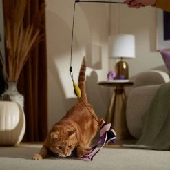 Disney Villains Evil Queen Interchangeable Teaser Wand Cat Toy With Catnip -Happy Paw Shop 344521 PT3. AC SS1800 V1657657087