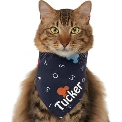 Disney "M-I-C-K-E-Y M-O-U-S-E" Personalized Dog & Cat Bandana -Happy Paw Shop 346374 PT2. AC SS1800 V1671228217
