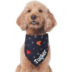 Disney "M-I-C-K-E-Y M-O-U-S-E" Personalized Dog & Cat Bandana -Happy Paw Shop 346374 PT3. AC SS1800 V1671228218