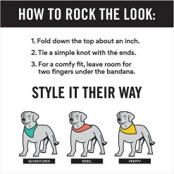 Disney Frozen's Olaf & Marshmallow Personalized Dog & Cat Bandana -Happy Paw Shop 346382 PT7. AC SS1800 V1671228216