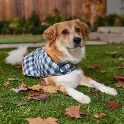 Disney Mediumweight Minnie Quilted Dog & Cat Puffer Coat -Happy Paw Shop 354020 PT8. AC SS1800 V1660749505