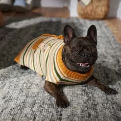 Disney Winnie The Pooh Dog & Cat Faux Cardigan 13 Disney Winnie The Pooh Dog & Cat Faux Cardigan -Happy Paw Shop 354036 PT7. AC SS1800 V1660749564