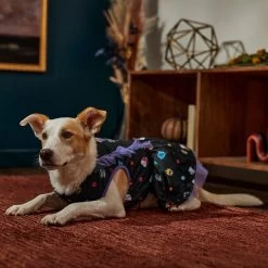 Disney Villains Dog & Cat Ruffle Dress -Happy Paw Shop 354044 PT6. AC SS1800 V1660750186