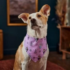 Disney Frozen Pattern Dog & Cat Bandana -Happy Paw Shop 354062 PT6. AC SS1800 V1660750168