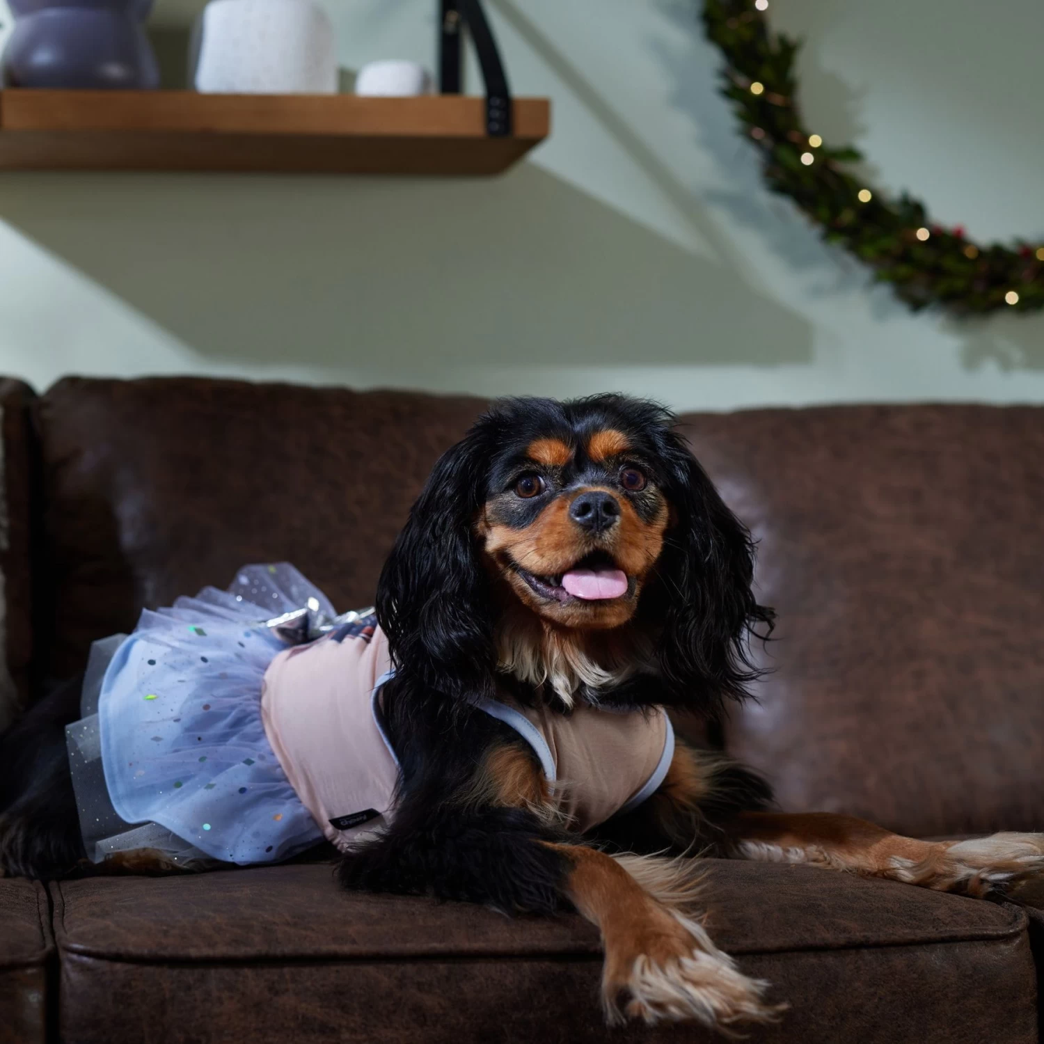 Disney Frozen's Anna & Elsa Dog & Cat Dress 6 Disney Frozen's Anna & Elsa Dog & Cat Dress - Image 6