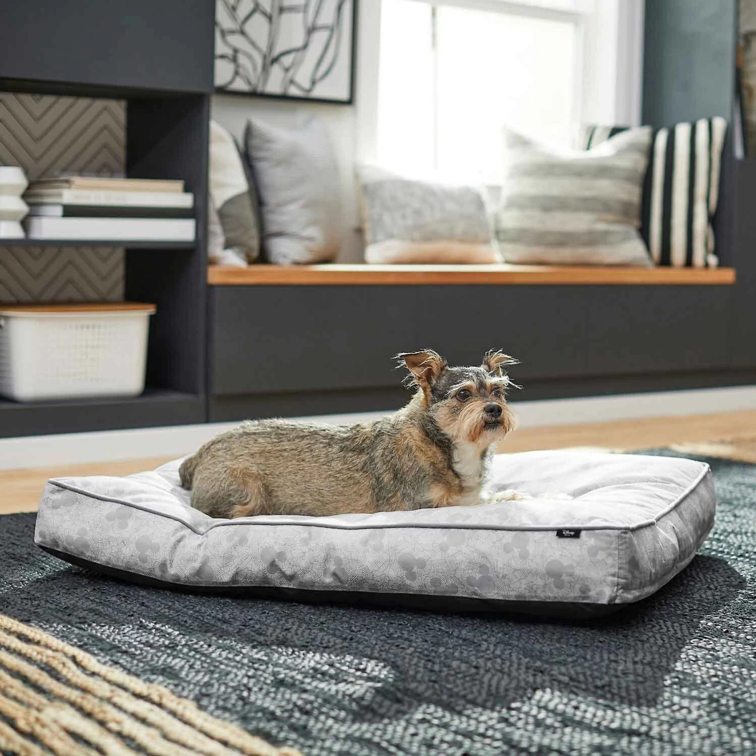 Disney Mickey Mouse Pillow Cat & Dog Bed & Disney Mickey Mouse Bolster Cat & Dog Bed 5 Disney Mickey Mouse Pillow Cat & Dog Bed & Disney Mickey Mouse Bolster Cat & Dog Bed - Image 5