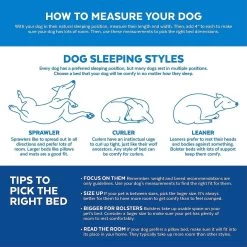 Disney Mickey Mouse Pillow Cat & Dog Bed & Disney Mickey Mouse Bolster Cat & Dog Bed 16 Disney Mickey Mouse Pillow Cat & Dog Bed & Disney Mickey Mouse Bolster Cat & Dog Bed -Happy Paw Shop 370380 PT7. AC SS1800 V1645809090