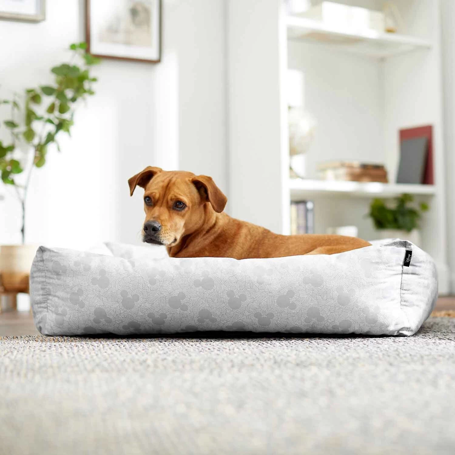 Disney Mickey Mouse Pillow Cat & Dog Bed & Disney Mickey Mouse Bolster Cat & Dog Bed 9 Disney Mickey Mouse Pillow Cat & Dog Bed & Disney Mickey Mouse Bolster Cat & Dog Bed - Image 9