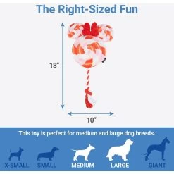 Disney Mickey Mouse Donut Plush Squeaky Dog Toy + 3 Items -Happy Paw Shop 582398 PT6. AC SS1800 V1658239540