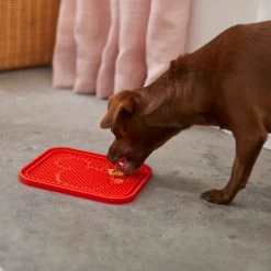 Disney Mickey Silicone Dog & Cat Lick Mat & Disney Mickey Silicone Dog & Cat Lick Mat -Happy Paw Shop 623358 PT3. AC SS1800 V1661895905