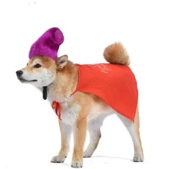 Disney Hocus Pocus Halloween Mary Sanderson Cape & Pet Wig Dog Costume With PVC Bag & Insert Card -Happy Paw Shop 763478 PT3. AC SS1800 V1686849979