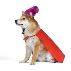 Disney Hocus Pocus Halloween Mary Sanderson Cape & Pet Wig Dog Costume With PVC Bag & Insert Card -Happy Paw Shop 763478 PT4. AC SS1800 V1686850039